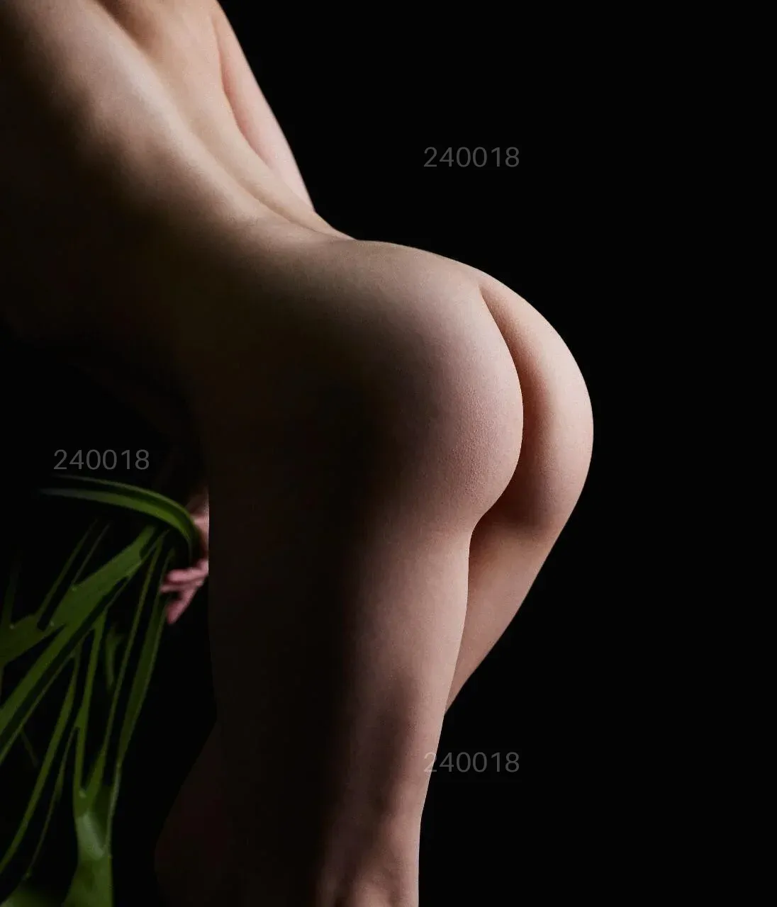 Zhaklinn — фотография анкеты